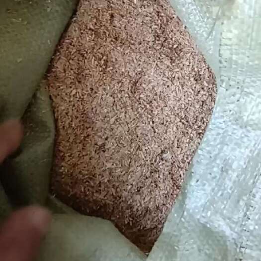 沈阳现磨出来稻糠，