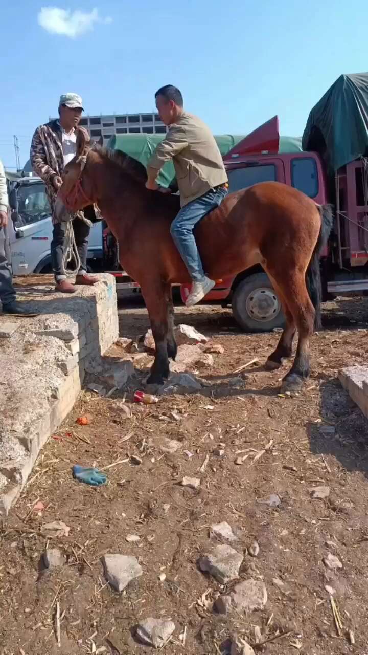 马