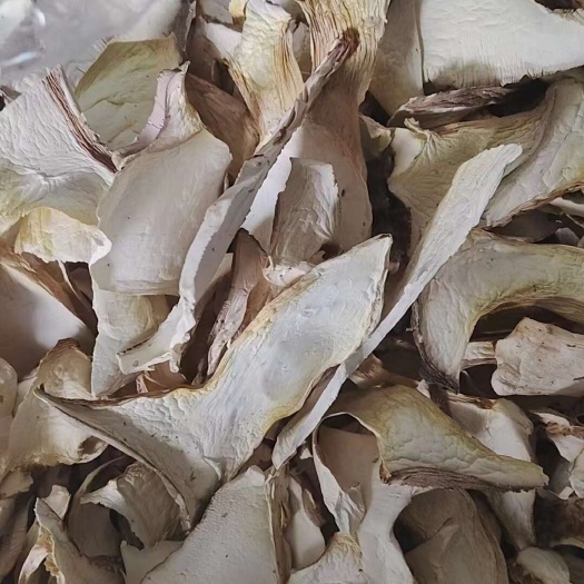 清丰县出售食用菌杏鲍菇干片，干鲜香菇