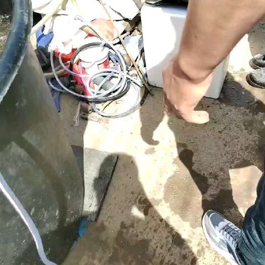 优质梭子蟹苗