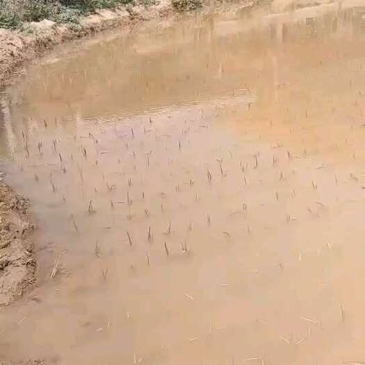 元江县土地租凭