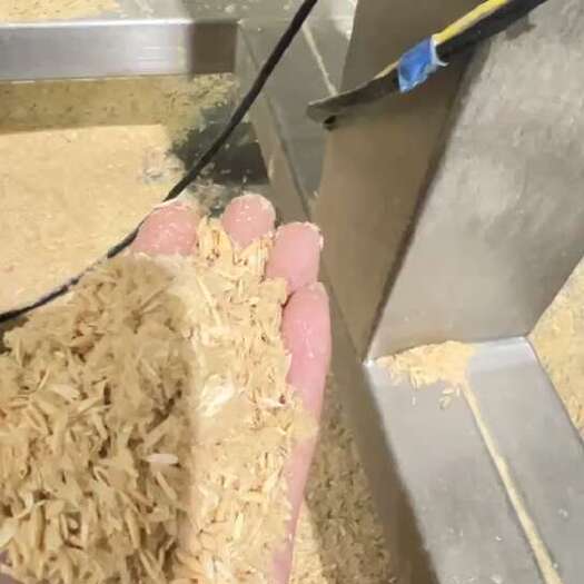 上海澳洲燕麦壳