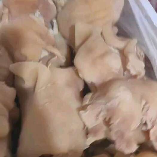 淮南去骨全熟牛蹄 清水褪毛牛蹄