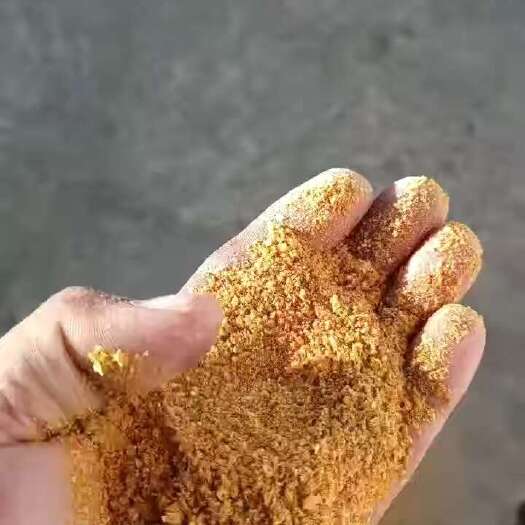 石家庄玉米酒糟DDGS蛋白26脂肪8纤维12，育肥养殖专用。营养高