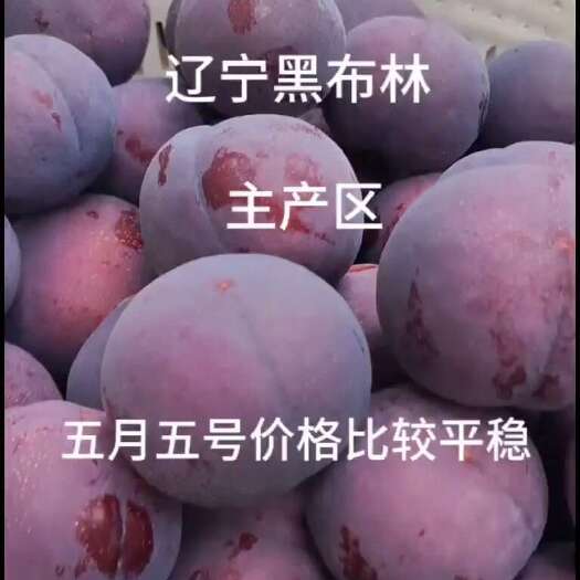 辽宁黑布林优质李子酸酸甜甜