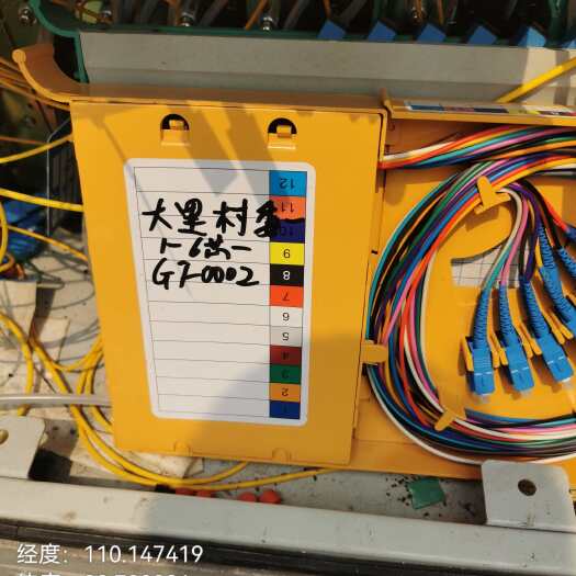 玉林快大杂交塘鲺鱼苗，需要点单