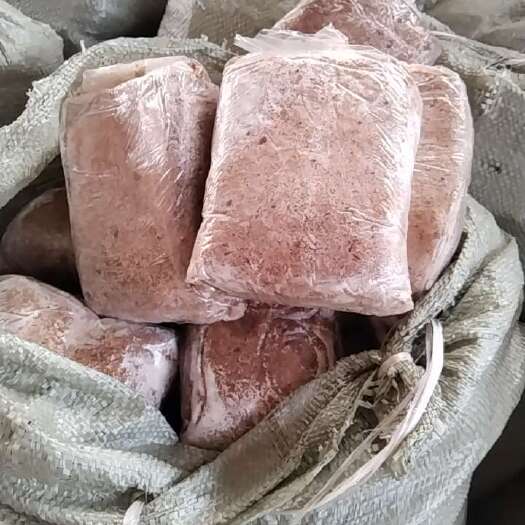 墨江县大量松茯苓种苗出售