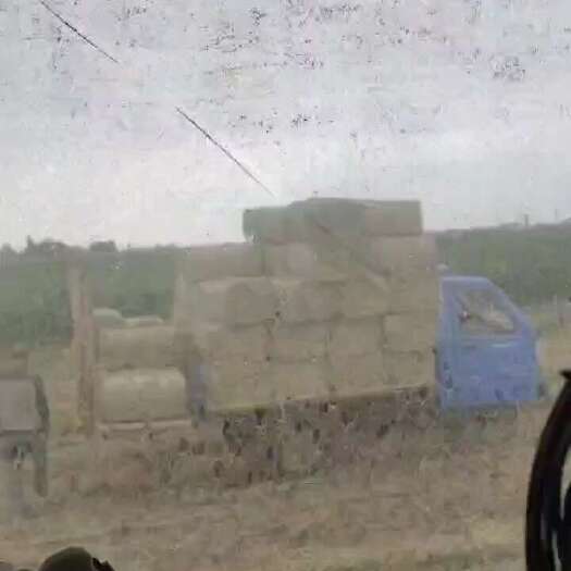 小麦秸秆，先预订