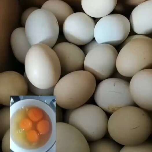 乌鸡蛋