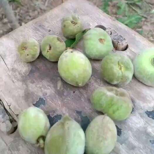 威县小青毛桃果脯一手货源充足