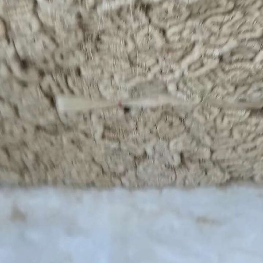 迁安市红薯粉丝