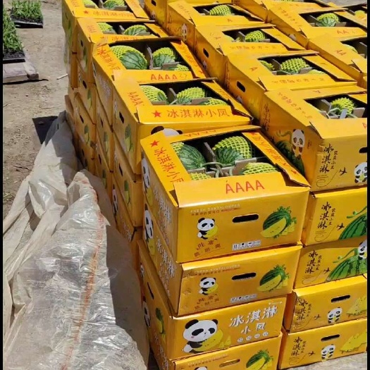 东台市西瓜