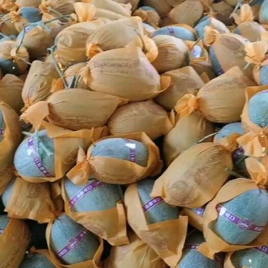 乐东县海南哈密瓜