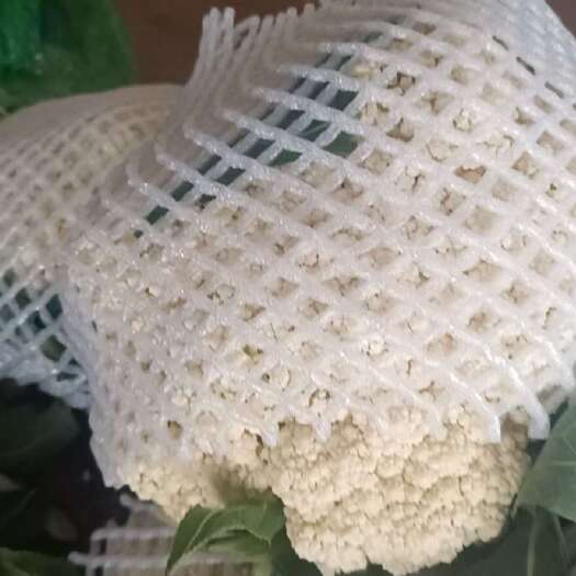 邯郸松花超白小米