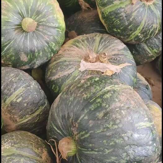 大荔县板栗南瓜