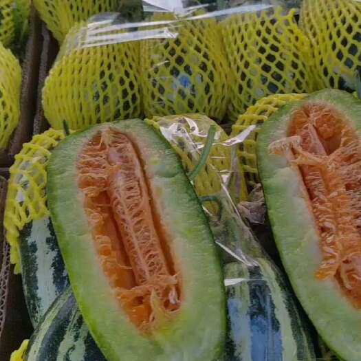 青县甜瓜