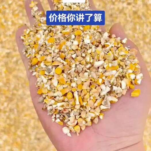 保靖县碎玉米 粉成玉米渣 厂价直销