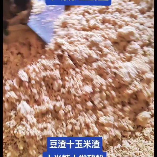 个旧市豆渣批发 玉米颗粒饲料