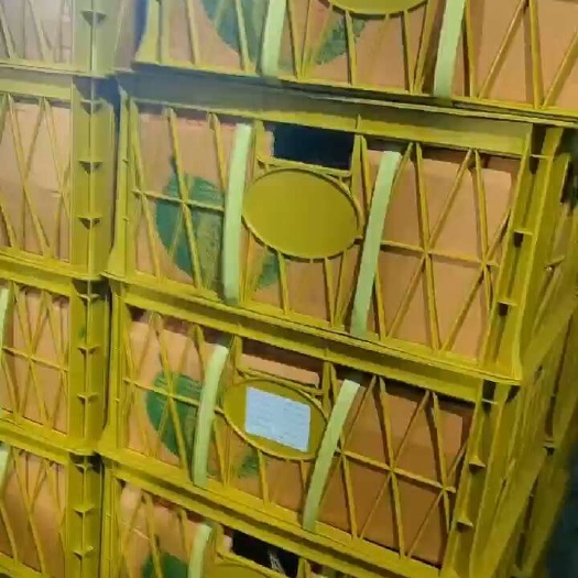 上海榴莲大量现货金枕价格760元毛重38-40净重34-35