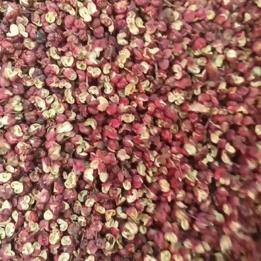 中牟县四川茂汶红麻