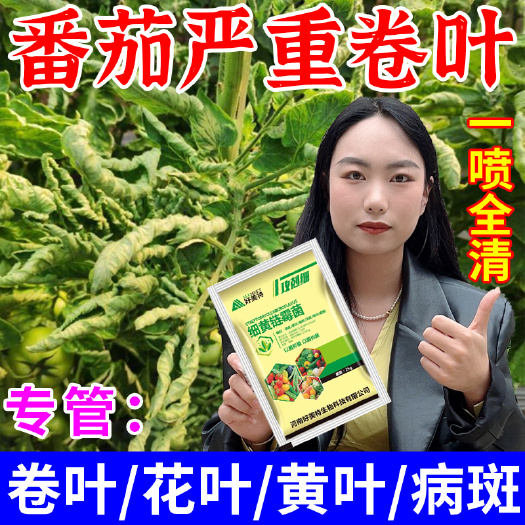 栾川县番茄专用细黄链霉菌病毒病花叶病脐腐病西红柿防烂微生物菌剂