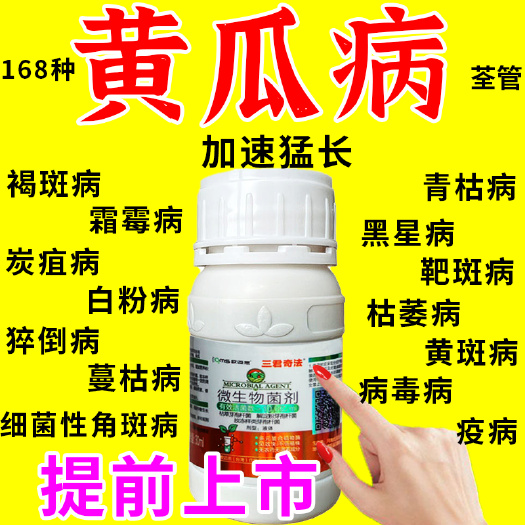 栾川县黄瓜专用药黄瓜病全治靶斑病灰霉病角斑病斑点病霜霉病黄瓜杀菌剂