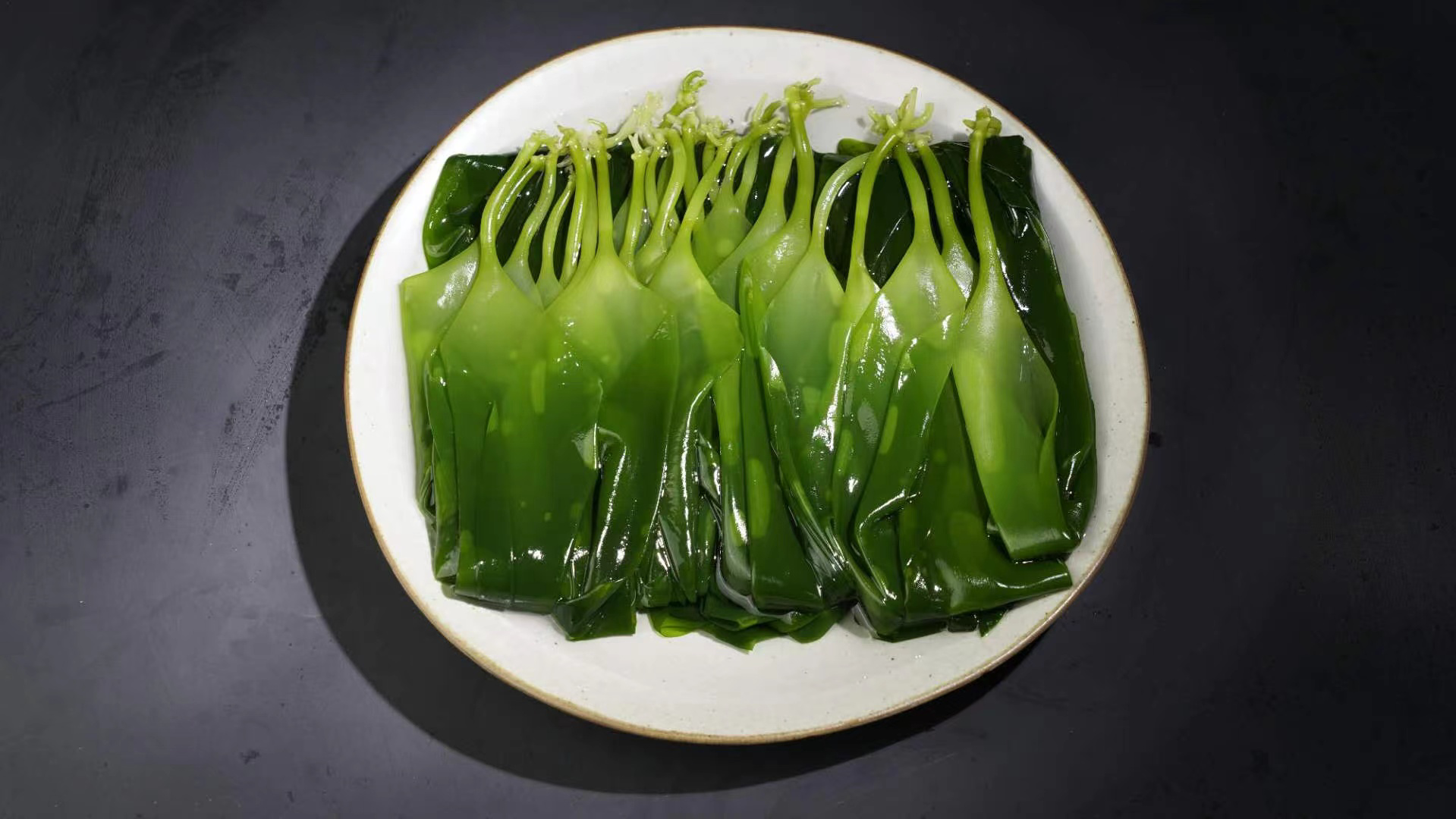 海帶苗供應(yīng)