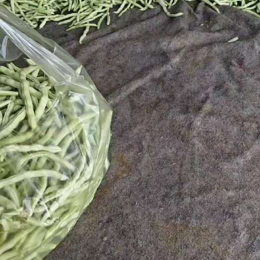 城固县白不了豆角