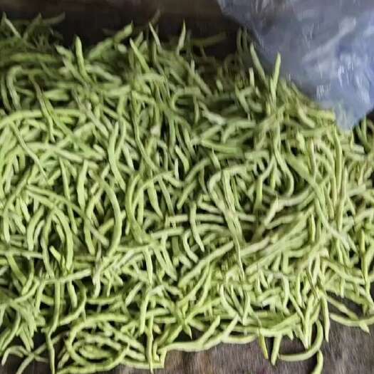 城固县白不了豆角