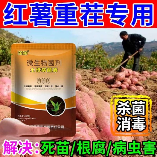 栾川县红薯地土壤杀菌消毒剂连作抗重茬专用防土传病害根腐微生物菌肥