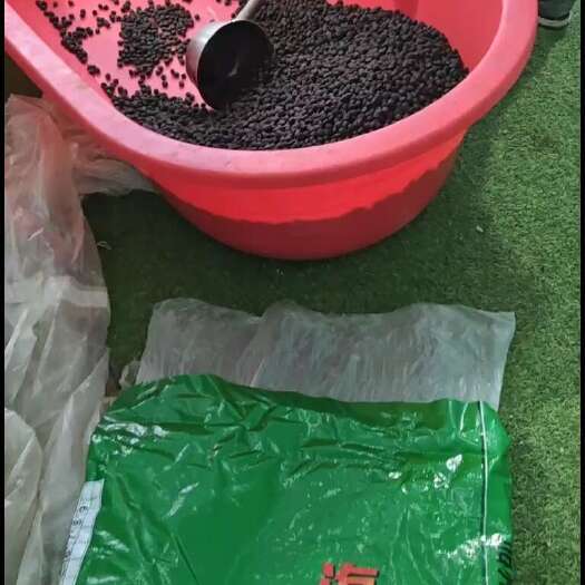 淡水鲈鱼