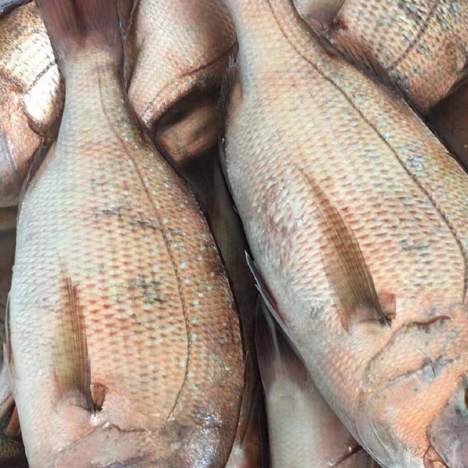 花腊，肉质肥厚鲜美，价格实惠
