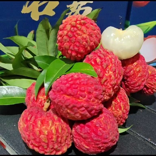 海口荔枝王