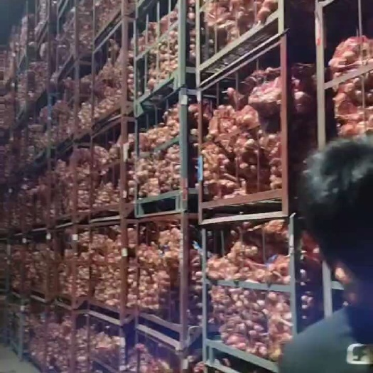平邑县白皮鲜蒜