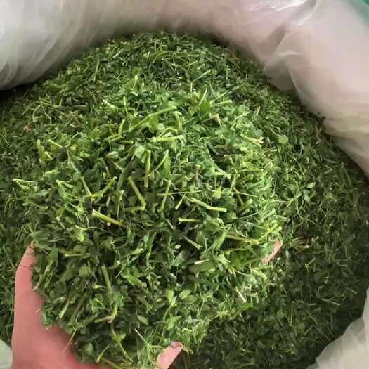 玉林广西相思藤小叶甘甜鸡骨草茶.鸡骨草叶中药批发