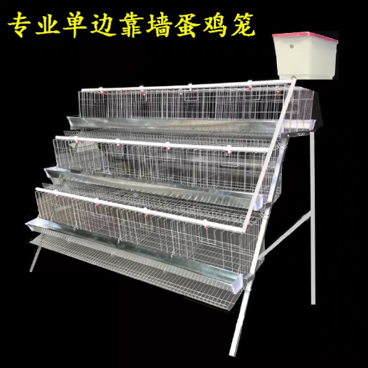 安平县厂家批发阶梯式蛋鸡笼立式雏鸡笼加粗加密养鸡铁笼子种鸡笼养殖场