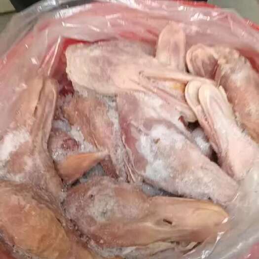 济南大量供应白条鸭头.每月十吨，有需要的老板联系