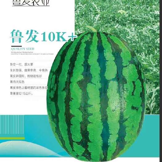 济南甜王西瓜种子，鲁发10k+