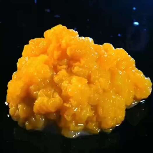 菏泽金耳 规格可挑选 产量充足，质量有保证，价格可谈  可做贴标
