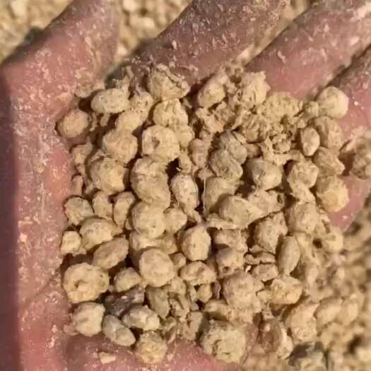 正定县发酵大豆