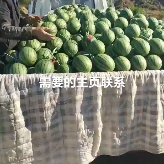 永清县精品L600大量有货