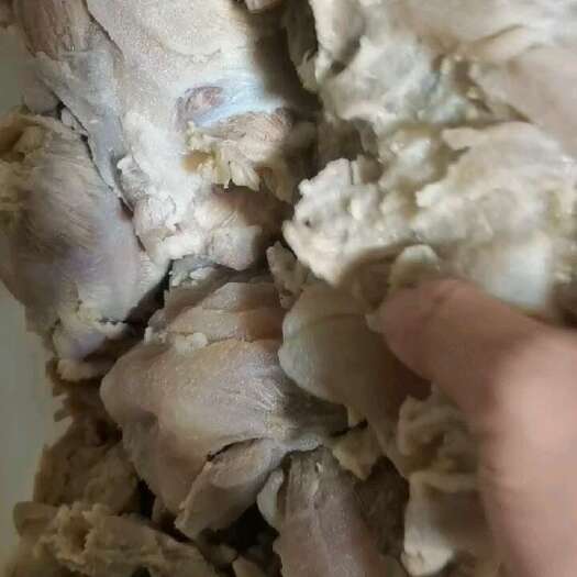 佛山牛肉，牛腩，熟牛头肉。熟牛头腩