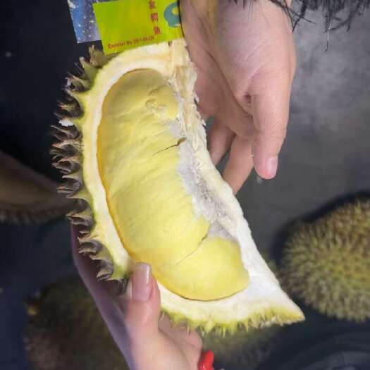 北京金枕头A6个个五房肉