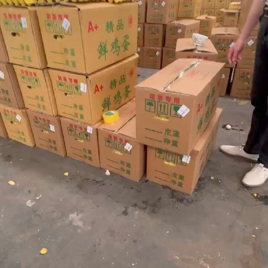东光县粉蛋鸡场直发
