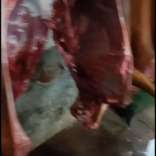 现杀黑山羊肉