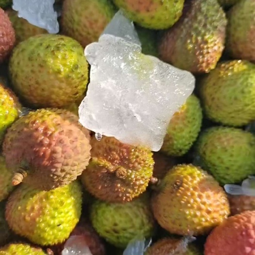 高碑店市妃子笑大小果都有！[微笑]
