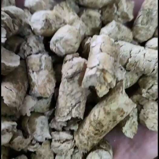 天津秕壳饲料