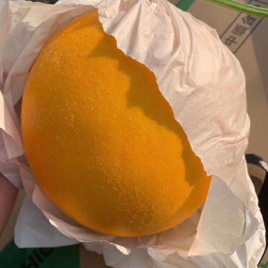 饶阳县饶阳久红瑞大量上市