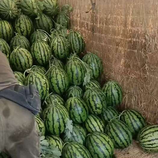 甜王西瓜