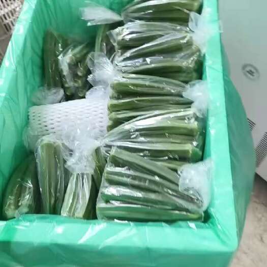 漳州黄秋葵